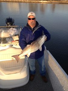 A single redfish caught in San Leon
