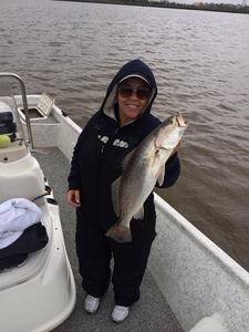 Spotted Weakfish, 17 inches, fishing in TX