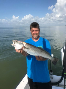 Spotted Weakfish caught fishing in TX