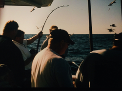 Fishing in MA