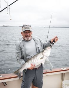 Striped bass caught while fishing in Quincy