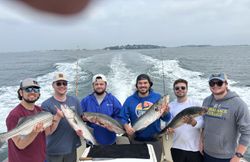Striped Bass fishing in Quincy