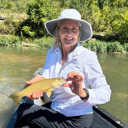1 angler fishing in AR