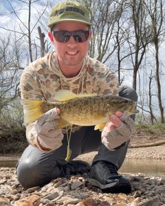 One angler fishing in AR