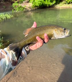 A fisherman holding a caught fish in Arkansas