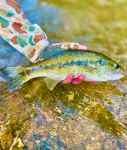 A fishing trip at Fort Smith