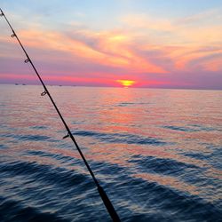 Drum Fishing, Delaware Bay