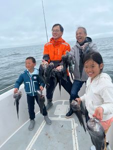 3 fish caught while fishing in Bourne