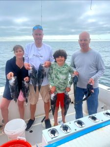 7 fish caught by 4 people fishing in Bourne