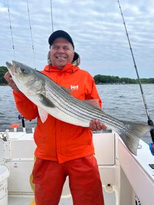 Striped bass caught while fishing in Bourne