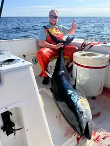 A blackfin tuna being caught while fishing in MA