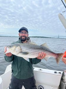 Two striped bass caught while fishing in Bourne