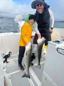 Two striped bass caught while fishing in Bourne