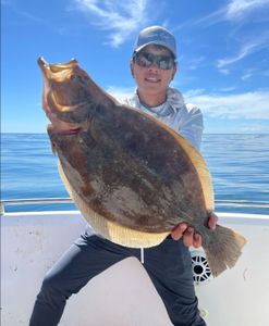 One summer flounder caught in MA