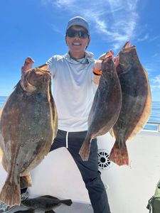 3 summer flounder caught fishing in MA