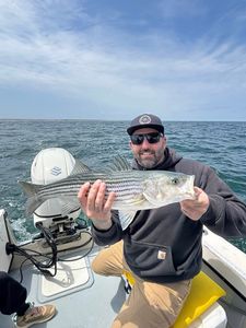 Hard-hitting striper!