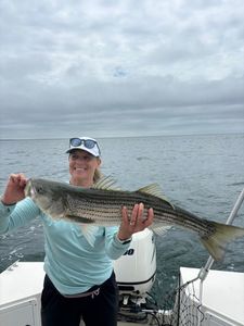 Massive striped bass!