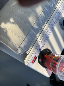 Clear skies and calm waters make for perfect deep sea jigging in Barnstable Harbor!