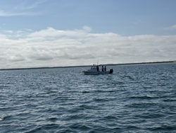 Partly cloudy skies set the stage for epic fishing adventures in Barnstable Harbor!