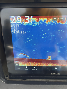 Clear skies and diverse techniques make for perfect fishing conditions at Barnstable Harbor!