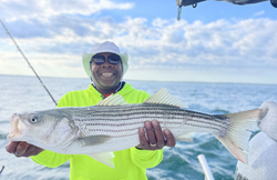 Striped bass caught by an angler in Barnstable