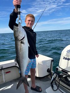 A bluefish caught during a fishing cruise in Barnstable