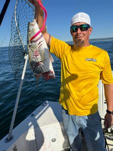 A person enjoying a fishing cruise in MA