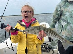 Striped bass caught in MA during cruises, fishing, and tours