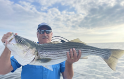Striped bass caught on cruises, fishing, and tours in MA