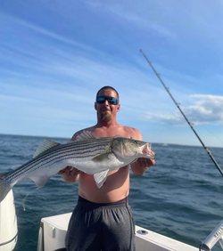 Striped bass caught in Barnstable