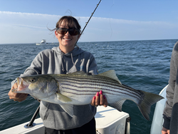 Huge 228-inch Striped Bass reeled in off Barnstable!