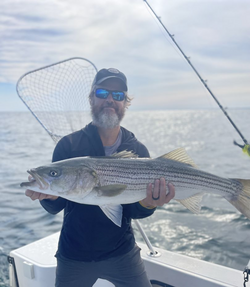 Striped bass caught in Barnstable, Massachusetts