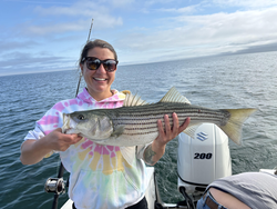 Huge Striped Bass reeled in from the depths of Barnstable Harbor!