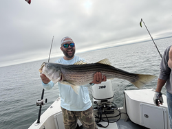 Huge 39-inch Striped Bass reeled in at Barnstable Harbor!