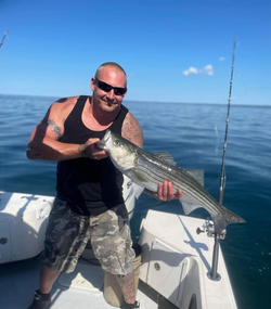 Striped bass caught on fishing cruise in Barnstable