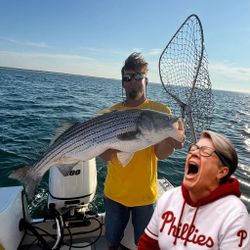 Striped bass caught during fishing cruises and tours in Barnstable