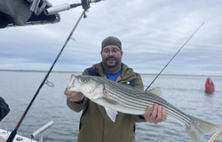 Striped Bass fishing in MA