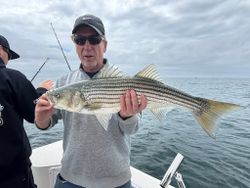 Striped bass caught while fishing in MA