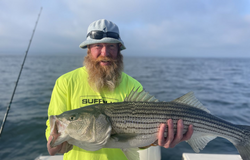 Striped bass caught on cruises, fishing, and tours in MA