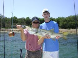 Snook fish caught while fishing in FL