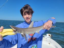 Dusky Smooth-Hound fish caught while fishing in FL