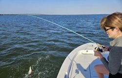 Angler fishing in FL