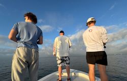 Scenic landscape of Florida coastline