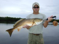 Redfish measuring 27 inches, caught while fishing in FL.