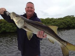 Snook fish caught in Tampa, Florida