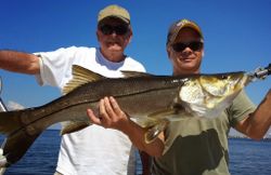 A snook fish caught in Tampa, Florida