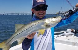 Snook fish caught in Florida