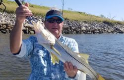 Snook fish being caught by two people in Tampa
