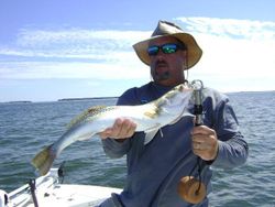 Angler holding a 20-inch catch in Tampa
