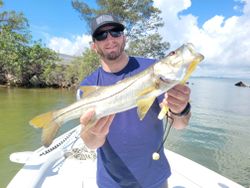 Snook fish caught in FL while fishing
